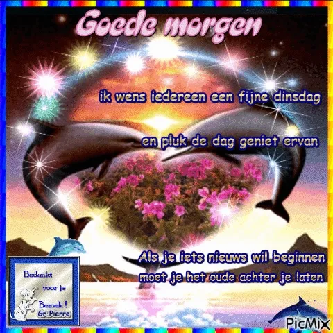 ᐅ gezellige dinsdag - Dinsdag plaatjes