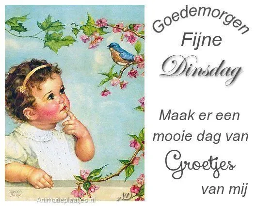 ᐅ gezellige dinsdag - Dinsdag plaatjes
