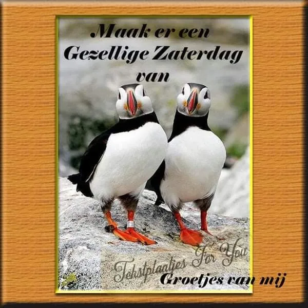 ᐅ gezellige zaterdag - Zaterdag plaatjes