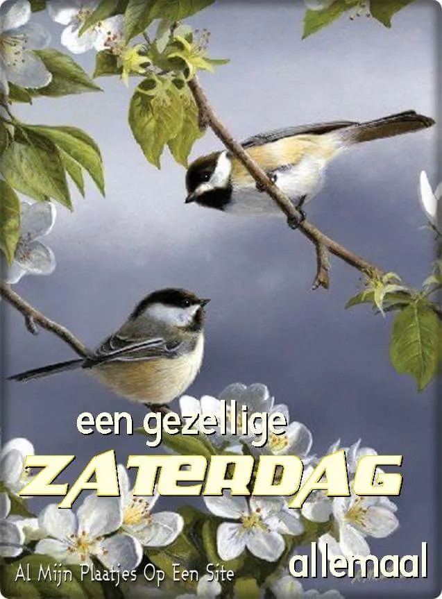 ᐅ gezellige zaterdag - Zaterdag plaatjes