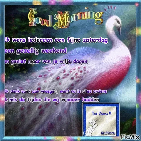 ᐅ gezellige zaterdag - Zaterdag plaatjes