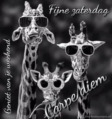 ᐅ gezellige zaterdag - Zaterdag plaatjes