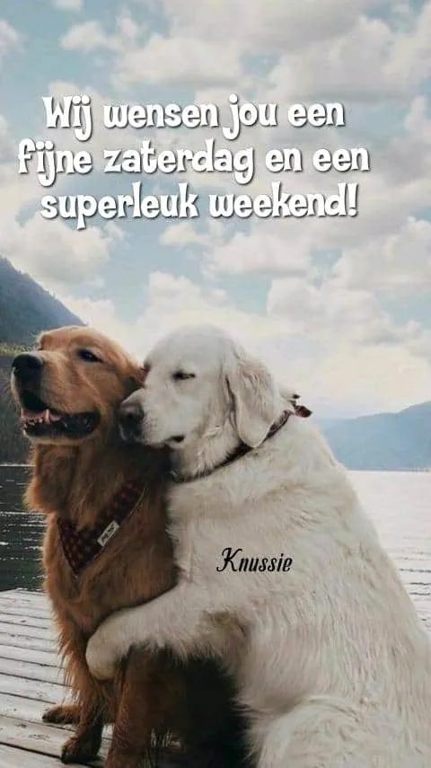 ᐅ gezellige zaterdag - Zaterdag plaatjes