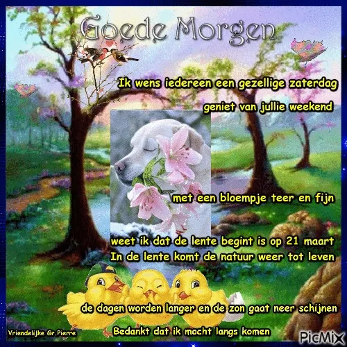 ᐅ gezellige zaterdag - Zaterdag plaatjes