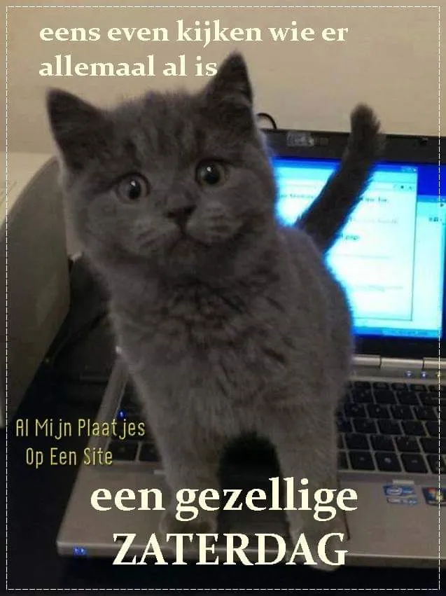 ᐅ gezellige zaterdag - Zaterdag plaatjes