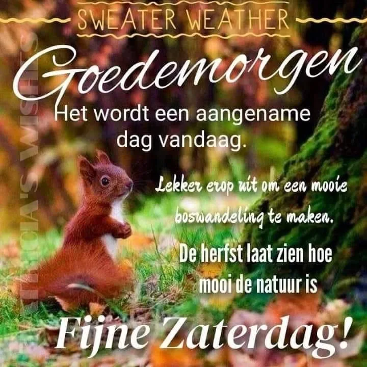 ᐅ gezellige zaterdag - Zaterdag plaatjes