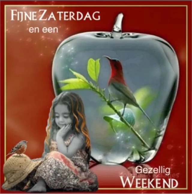 ᐅ gezellige zaterdag - Zaterdag plaatjes