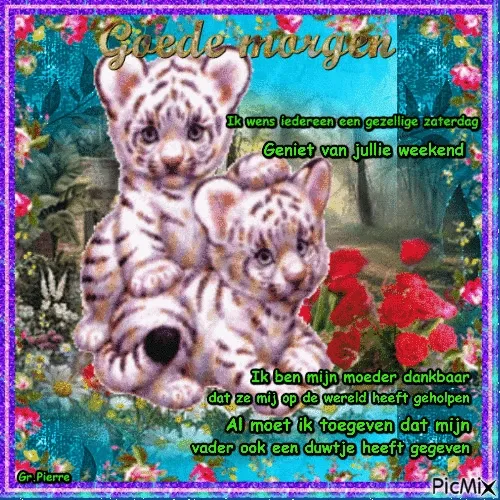 ᐅ gezellige zaterdag - Zaterdag plaatjes