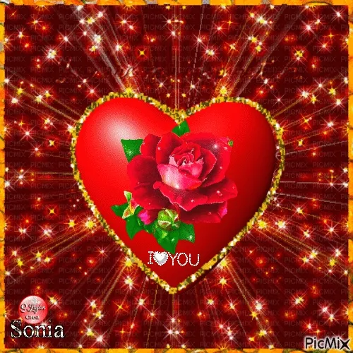 Rode hartvorm met roos en "I Love You" tekst, omringd door fonkelende sterren.