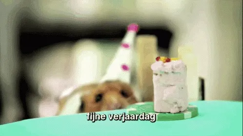 ᐅ gif verjaardag - Verjaardag plaatjes