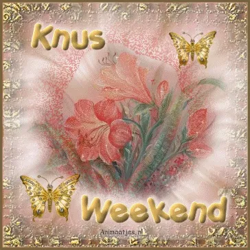 ᐅ goed weekend gif - Weekend plaatjes Gouden vlinders en bloemen, tekst: "Knus Weekend". Achtergrond in zachte kleuren.