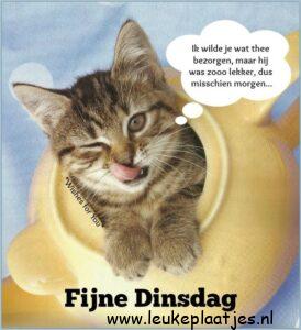 goede morgen dinsdag