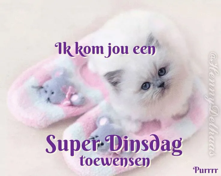 ᐅ goede morgen dinsdag - Dinsdag plaatjes ᐅ goede morgen dinsdag - Dinsdag plaatjes