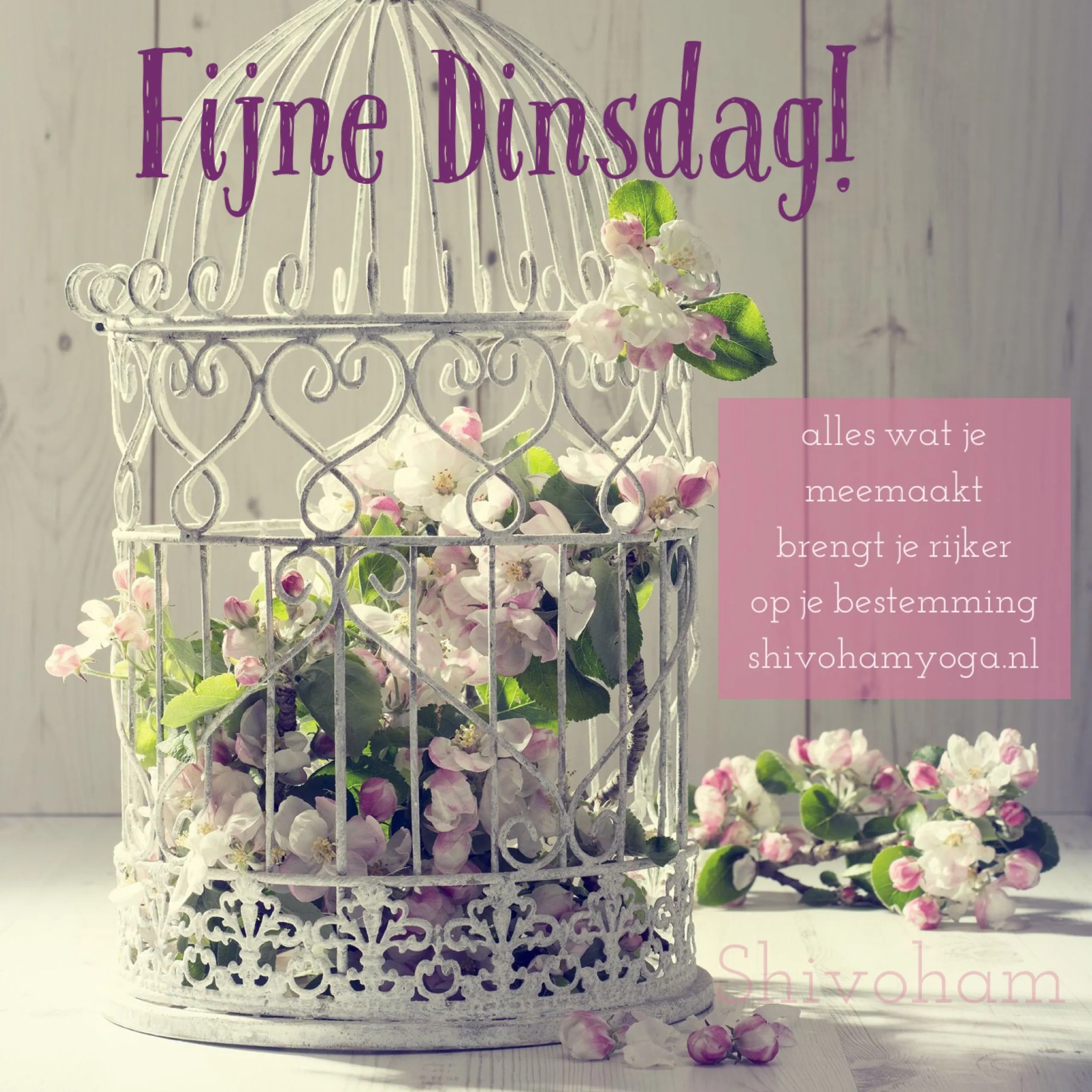 ᐅ goede morgen dinsdag - Dinsdag plaatjes ᐅ goede morgen dinsdag - Dinsdag plaatjes
