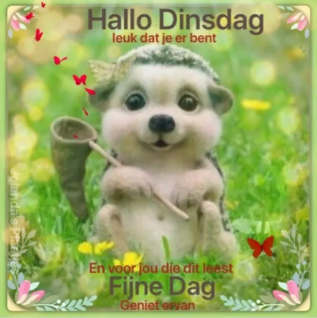 ᐅ goede morgen dinsdag - Dinsdag plaatjes ᐅ goede morgen dinsdag - Dinsdag plaatjes