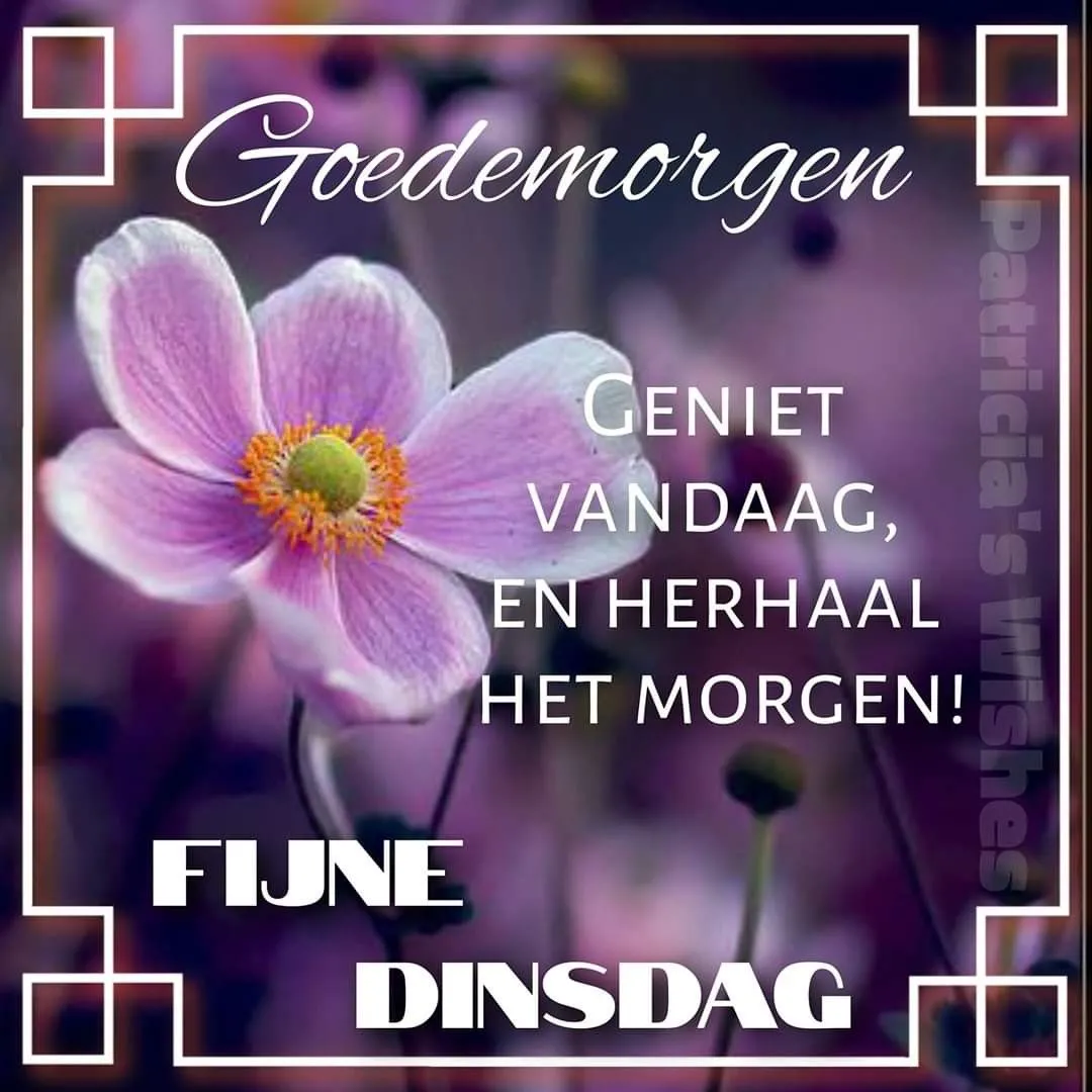 ᐅ goede morgen dinsdag - Dinsdag plaatjes ᐅ goede morgen dinsdag - Dinsdag plaatjes