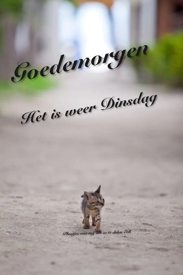 ᐅ goede morgen dinsdag - Dinsdag plaatjes ᐅ goede morgen dinsdag - Dinsdag plaatjes