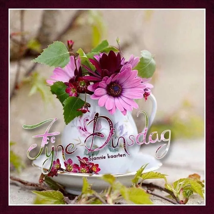 ᐅ goede morgen dinsdag - Dinsdag plaatjes ᐅ goede morgen dinsdag - Dinsdag plaatjes