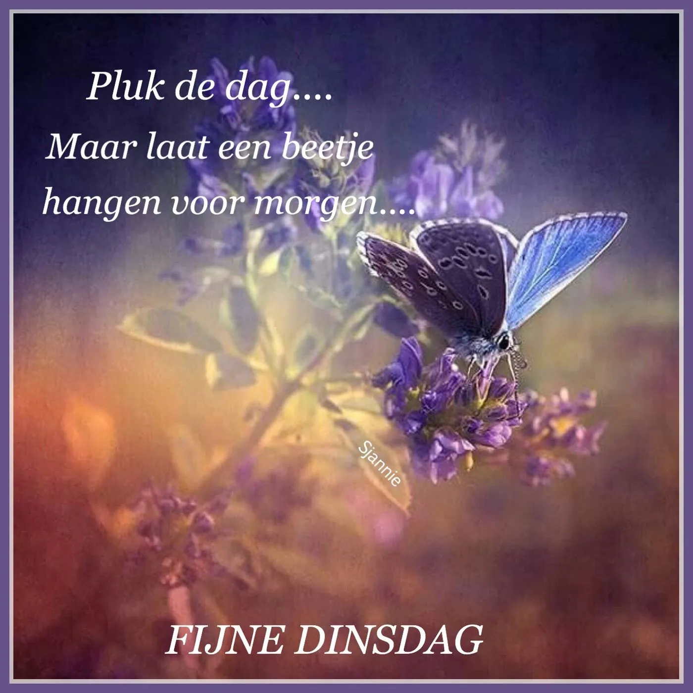 ᐅ goede morgen dinsdag - Dinsdag plaatjes ᐅ goede morgen dinsdag - Dinsdag plaatjes