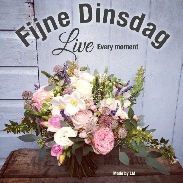 ᐅ goede morgen dinsdag - Dinsdag plaatjes ᐅ goede morgen dinsdag - Dinsdag plaatjes