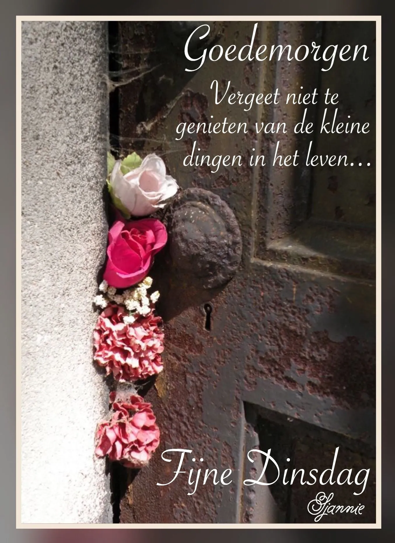 ᐅ goede morgen dinsdag - Dinsdag plaatjes ᐅ goede morgen dinsdag - Dinsdag plaatjes