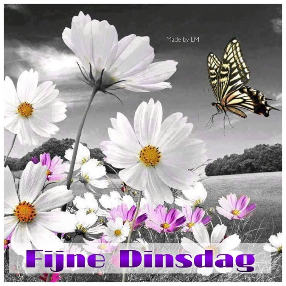ᐅ goede morgen dinsdag - Dinsdag plaatjes ᐅ goede morgen dinsdag - Dinsdag plaatjes