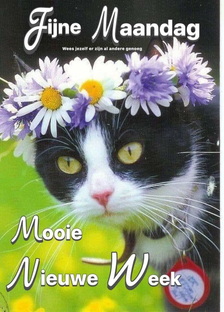 ᐅ goede morgen maandag - Maandag plaatjes ᐅ goede morgen maandag - Maandag plaatjes