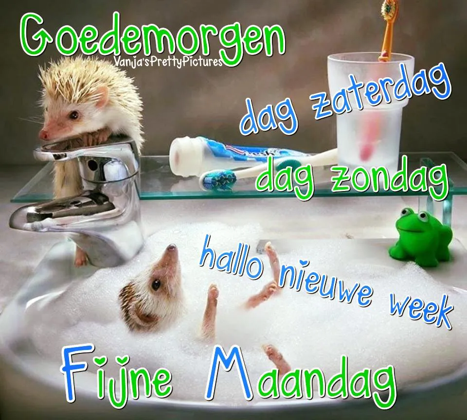ᐅ goede morgen maandag - Maandag plaatjes ᐅ goede morgen maandag - Maandag plaatjes