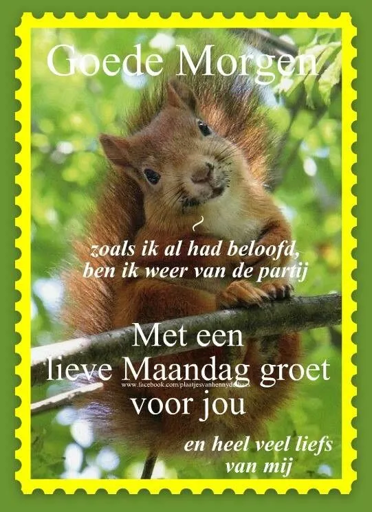 ᐅ goede morgen maandag - Maandag plaatjes ᐅ goede morgen maandag - Maandag plaatjes