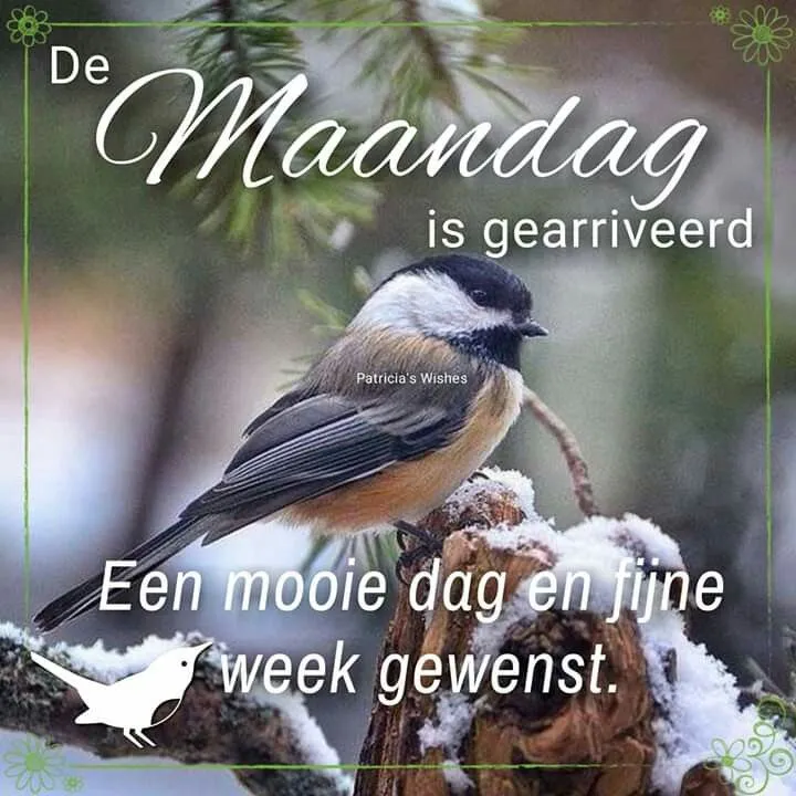 ᐅ goede morgen maandag - Maandag plaatjes ᐅ goede morgen maandag - Maandag plaatjes