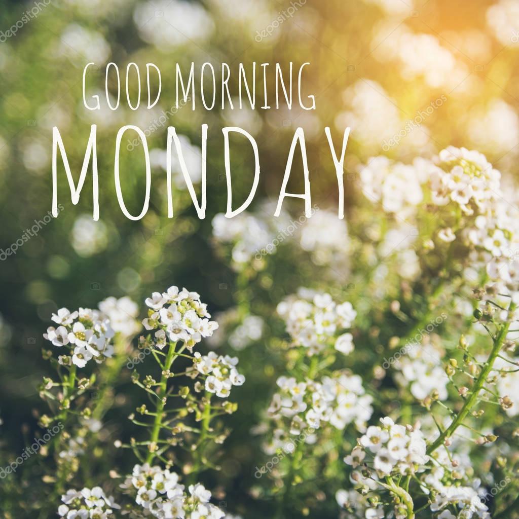 ᐅ goede morgen maandag - Maandag plaatjes