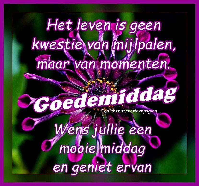 ᐅ Geweldige Goedemiddag Plaatjes - De Leukste Gratis Afbeeldingen - Goedemiddag plaatjes Kleurige bloemen met de tekst: "Goedemiddag, geniet van momenten."