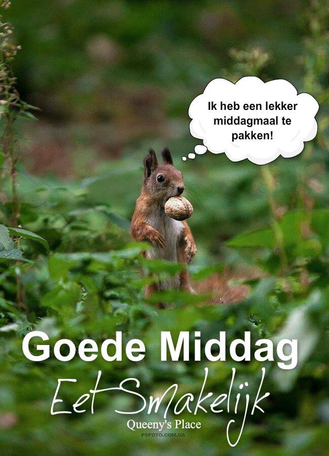 ᐅ Geweldige Goedemiddag Plaatjes - De Leukste Gratis Afbeeldingen - Goedemiddag plaatjes Goedemiddag - Eekhoorn met een noot in het groen, tekst: "Goede Middag, Eet Smakelijk!"