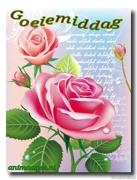 Rozen met de tekst "Goeiemiddag" op een pastel achtergrond.