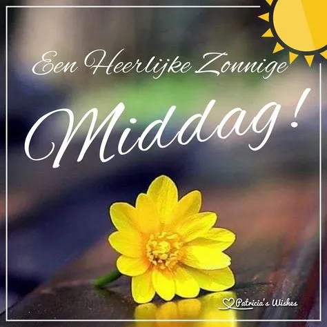 Een tekst met een gele bloem en de boodschap: "Een Heerlijke Zonnige Middag!"