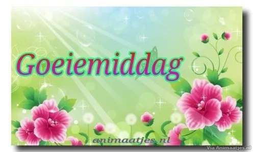 Achtergrond met bloemen en de tekst "Goeiemiddag".