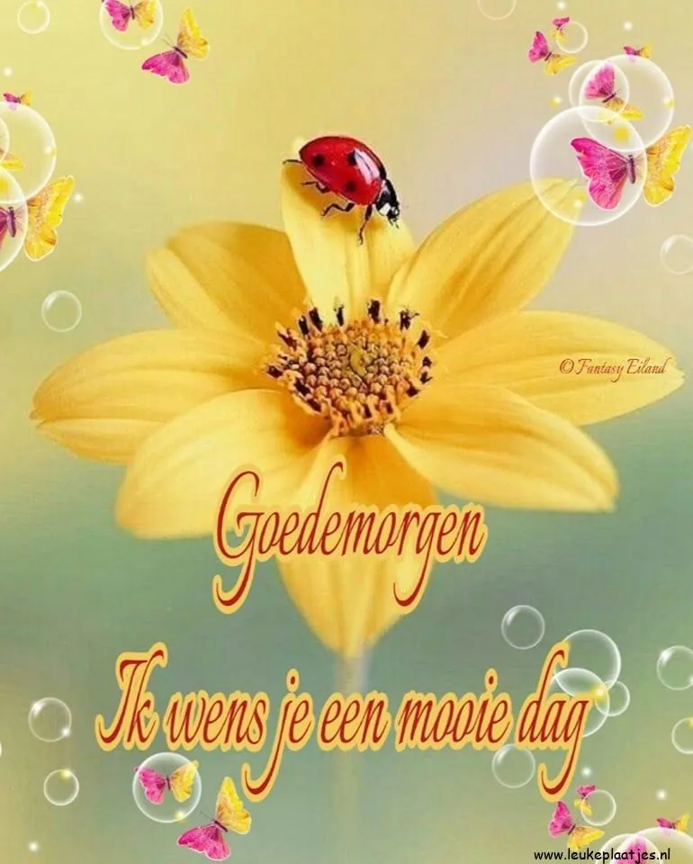 ᐅ goedemiddag fijne dag - Goedemiddag plaatjes Gele bloem met een lieveheersbeestje en de tekst "Goedemorgen, ik wens je een mooie dag".