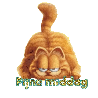 ᐅ goedemiddag gif - Goedemiddag plaatjes Een boze oranje kat met de tekst "Fijne middag" eronder.