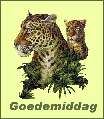 ᐅ goedemiddag gif - Goedemiddag plaatjes Twee jaguars tussen groene bladeren met de tekst "Goedenmiddag".