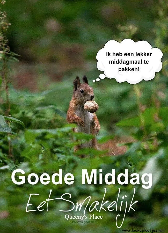ᐅ goedemiddag humor - Goedemiddag plaatjes Eekhoorn met noot in een groene omgeving, met tekst "Goede Middag Eet Smakelijk".