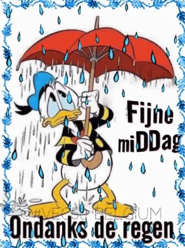ᐅ goedemiddag humor - Goedemiddag plaatjes Donald Duck met een paraplu, regendruppels vallen. Tekst: "Fijne miDDag ondanks de regen."