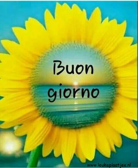 ᐅ goedemiddag italiaans - Goedemiddag plaatjes