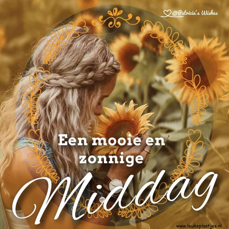 ᐅ goedemiddag plaatjes - goedemiddag plaatjes plaatjes