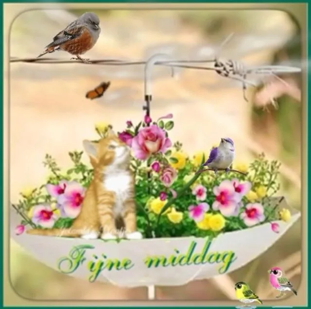 ᐅ goedemiddag plaatjes - Goedemiddag plaatjes Kat en vogels in bloeiende bloemen, met de tekst "Fijne middag".