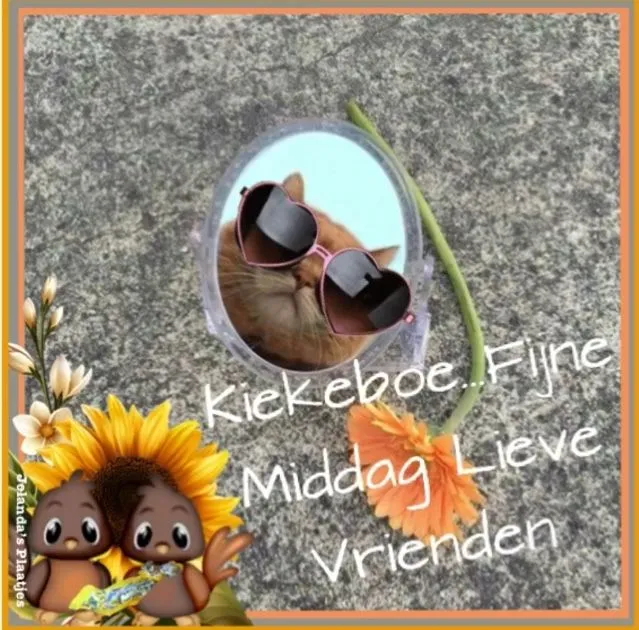 ᐅ goedemiddag plaatjes - Goedemiddag plaatjes Een kat met een zonnebril kijkt in een spiegel, omringd door bloemen.