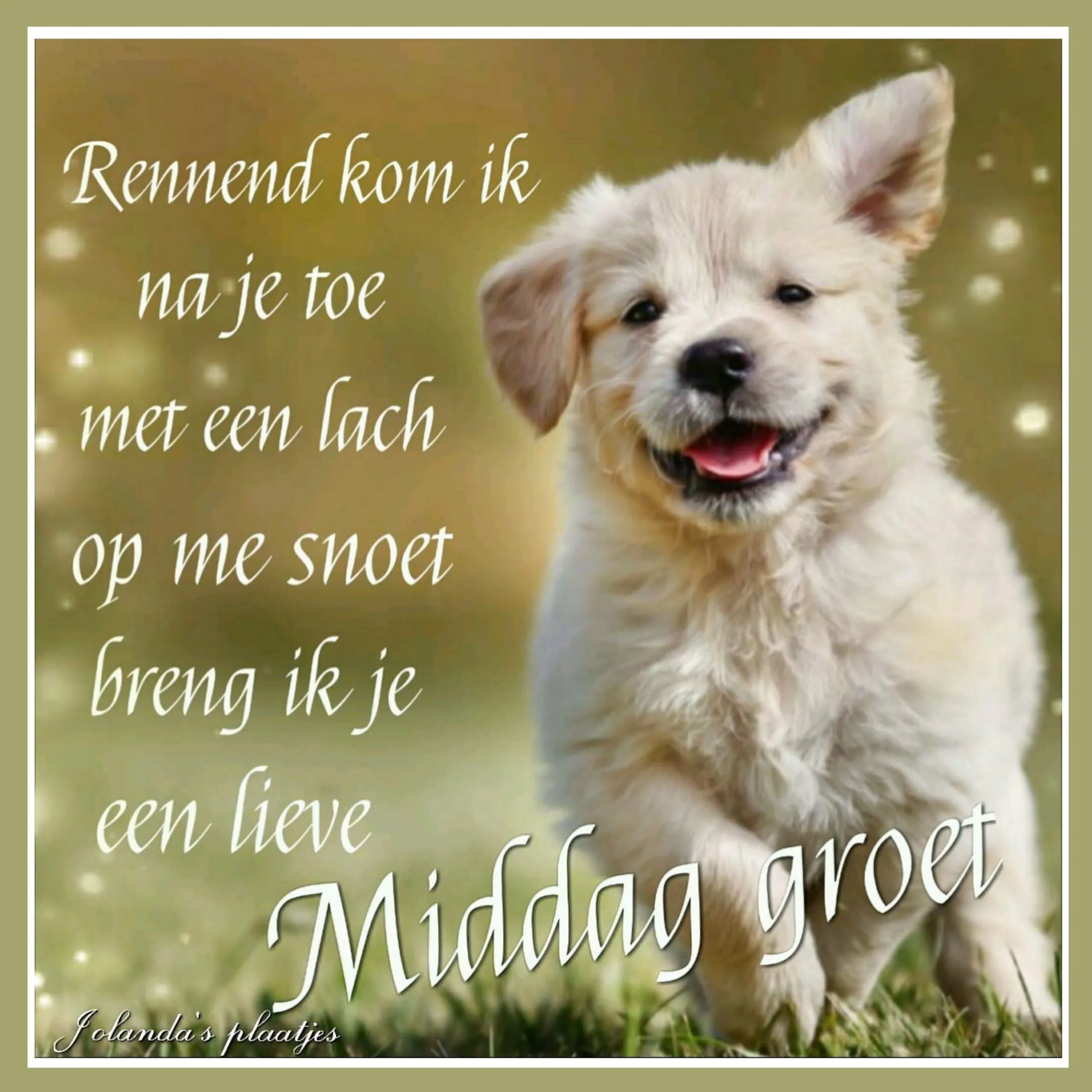 ᐅ goedemiddag plaatjes - Goedemiddag plaatjes Een lachende puppy die vrolijk naar de kijker rent met een middaggroet.