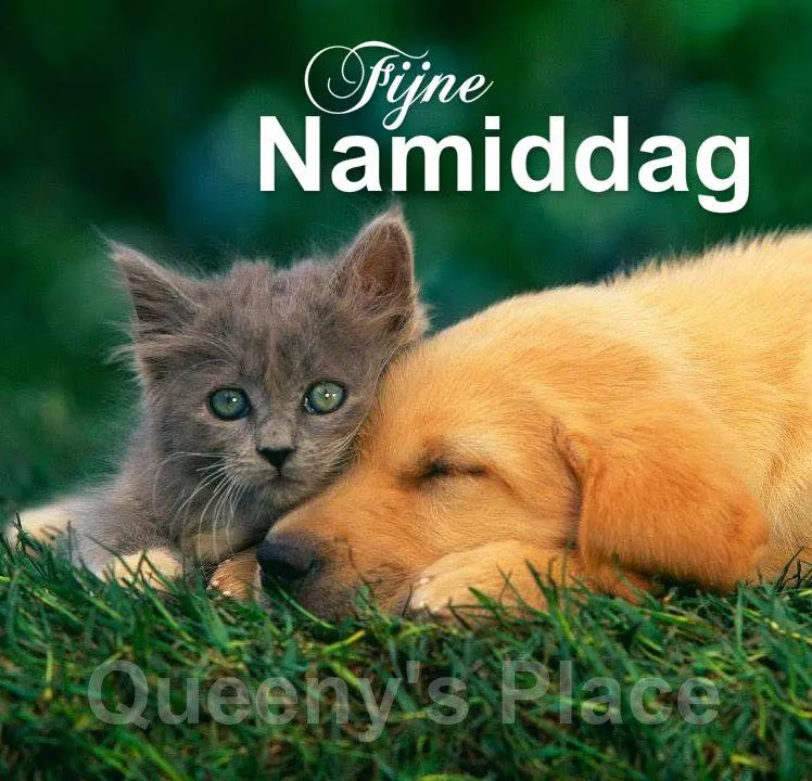 ᐅ goedemiddag plaatjes - Goedemiddag plaatjes Katten en honden slapen samen in een groene tuin. Tekst: Fijne Namiddag.
