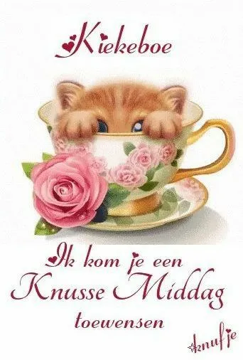 Een schattige katje kijkt uit een koffiekop met rozen, wensen voor een gezellige middag.