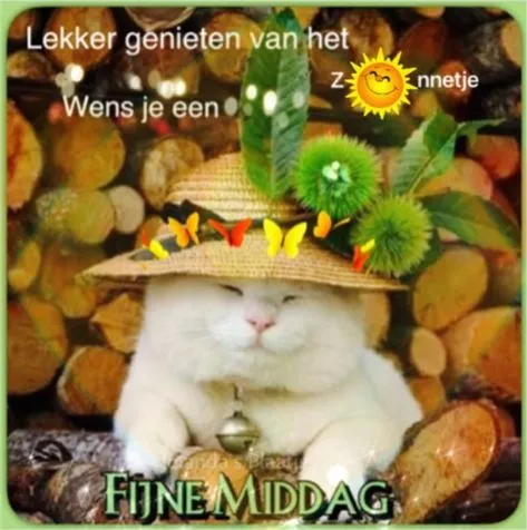 Een kat met een hoed en bloemen, op een achtergrond van houten stammen. Fijne middag!