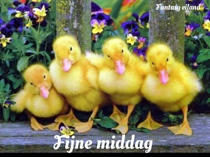 Vijf schattige gele eenden staan naast elkaar tussen paarse bloemen.